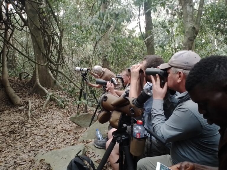 Ghana Birding Tours