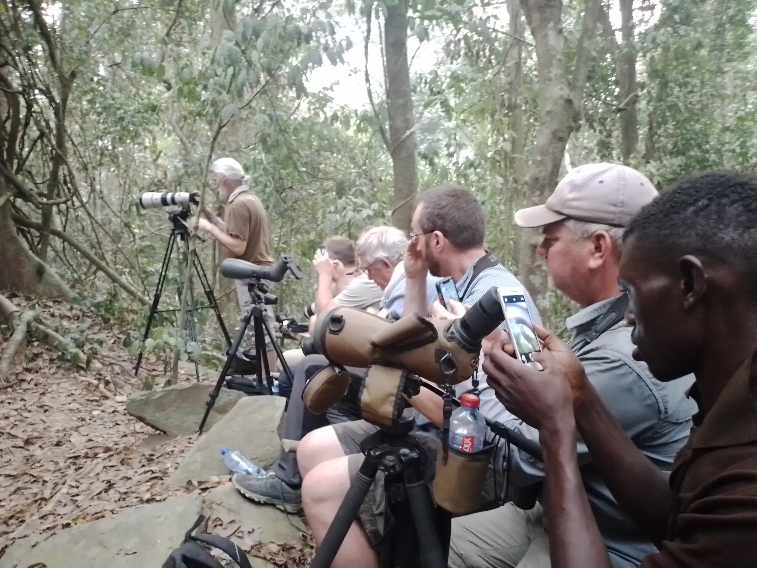 Ghana Birding Tours