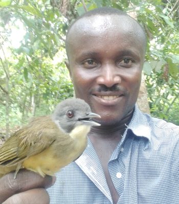 Ghana Birding Tours
