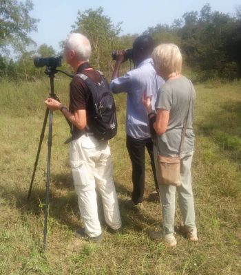 IMG-20221123-WA0007-1