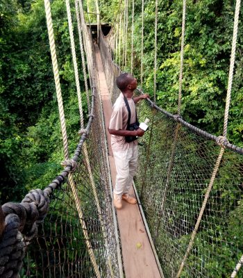 IMG_20191122_074747 - Copy - Copy